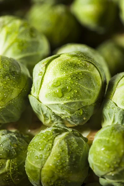 Raw Green Organic Brussel Sprouts — Stock Photo, Image