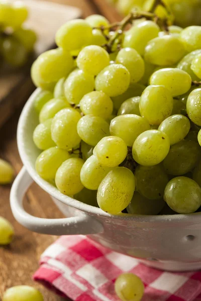 Uvas verdes brutas orgânicas — Fotografia de Stock