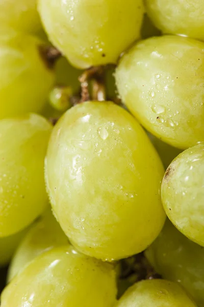 Organiczne surowe zielonych winogron — Zdjęcie stockowe