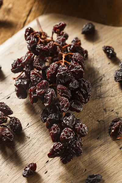 Raisins secs bio sur la vigne — Photo