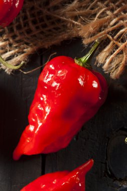 Baharatlı sıcak Bhut Jolokia hayalet biber