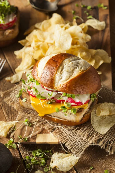 Hambúrguer de tofu de soja vegetariana caseiro — Fotografia de Stock