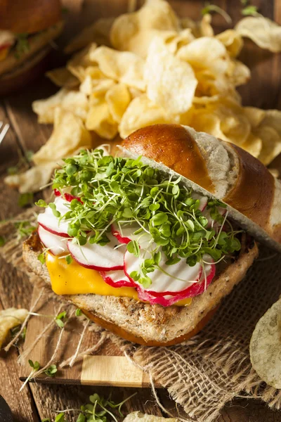Házi vegetáriánus szója-Tofu Burger — Stock Fotó