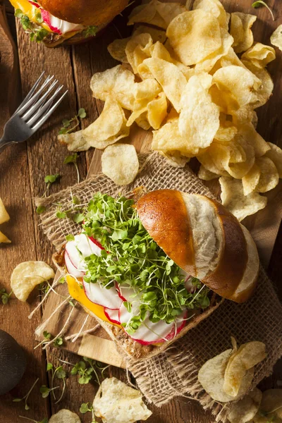 Házi vegetáriánus szója-Tofu Burger — Stock Fotó