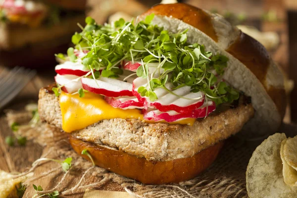 Hamburguesa de soja vegetariana casera de tofu —  Fotos de Stock