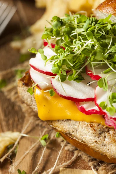 Burger de tofu végétarien maison au soja — Photo