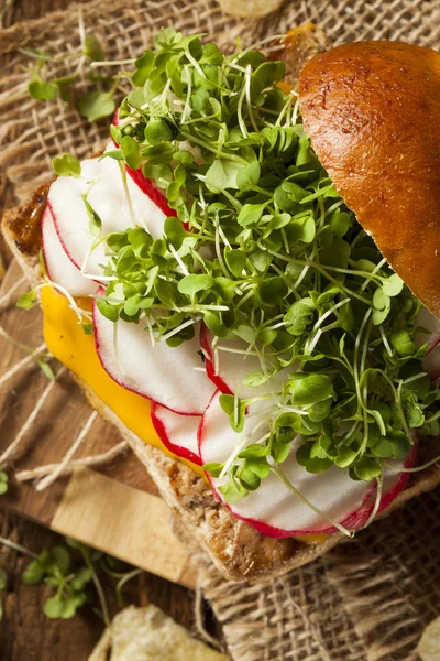 Homemade Vegetarian Soy Tofu Burger — Stock Photo, Image