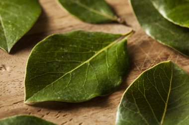 Yeşil organik defne yaprağı
