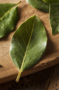 Yeşil organik defne yaprağı
