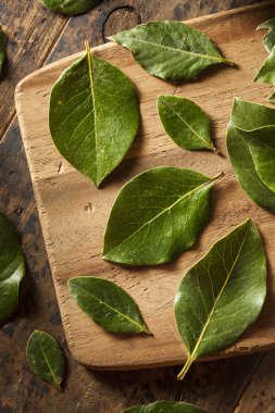 Yeşil organik defne yaprağı