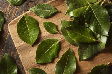 Yeşil organik defne yaprağı