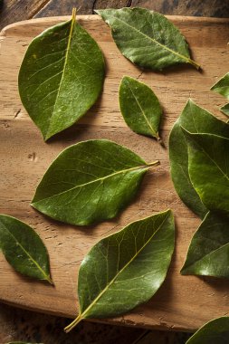 Yeşil organik defne yaprağı