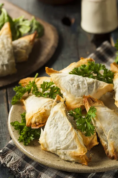 Hemlagad grekisk Spanakopita bakelse — Stockfoto