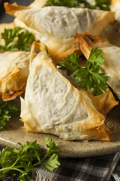 만든 그리스 Spanakopita 생 과자 — 스톡 사진