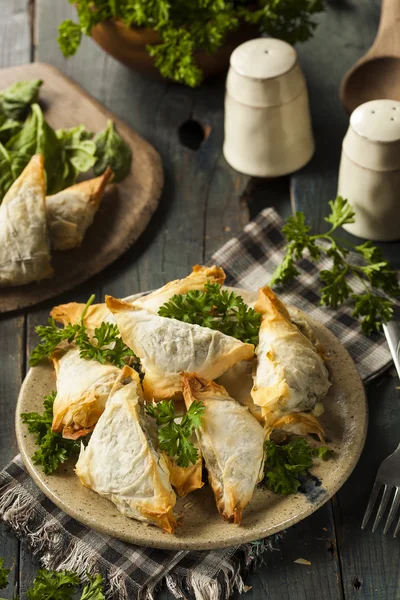 Hemlagad grekisk Spanakopita bakelse — Stockfoto