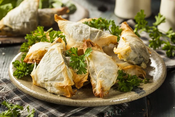 Hemlagad grekisk Spanakopita bakelse — Stockfoto