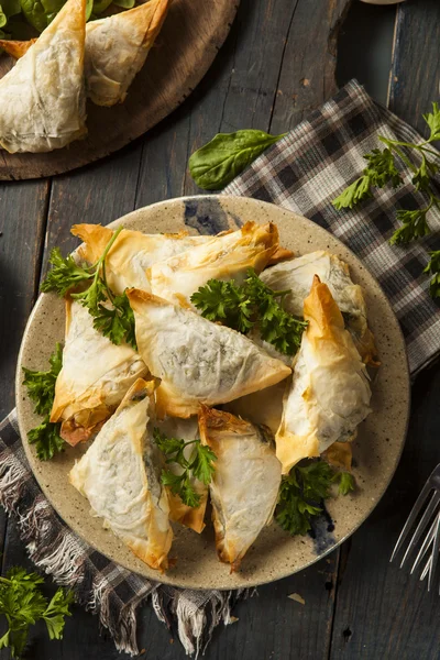 Ev yapımı Yunan Spanakopita pasta — Stok fotoğraf