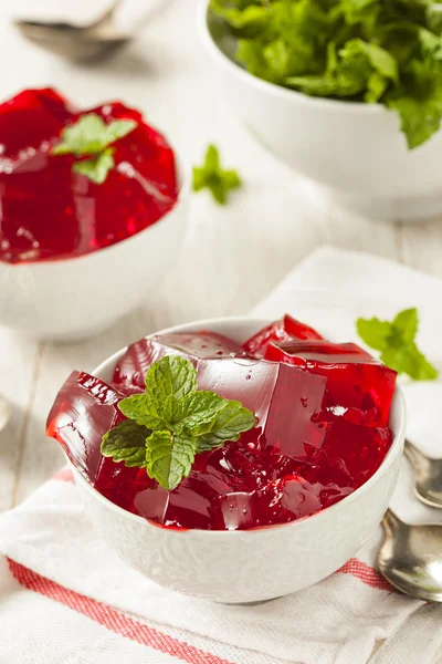 Homemade Red Cherry Gelatin Dessert — Stock Photo, Image