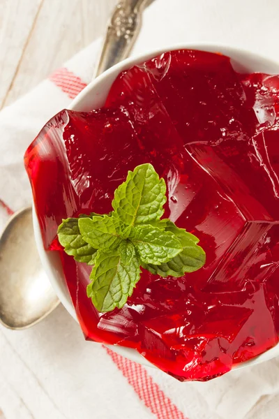 Homemade Red Cherry Gelatin Dessert — Stock Photo, Image