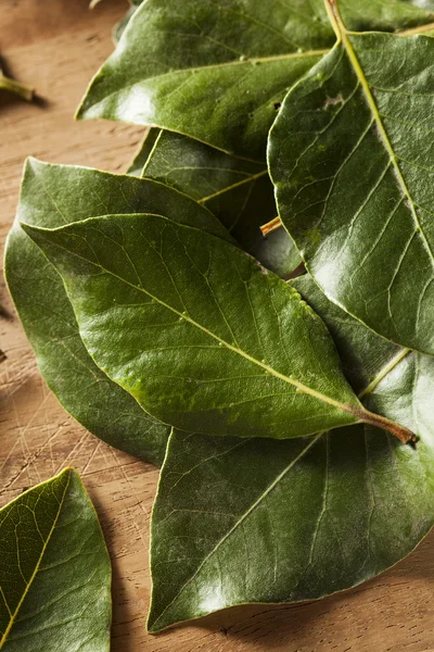 녹색 유기 베이 잎 — 스톡 사진