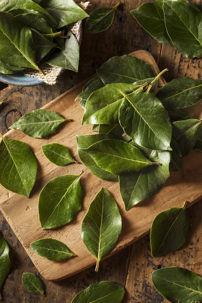 녹색 유기 베이 잎 — 스톡 사진
