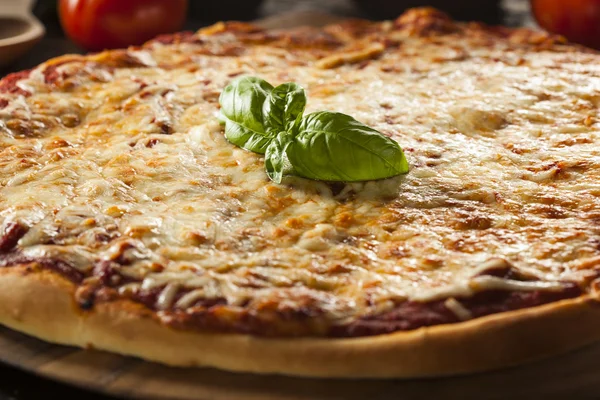 Homemade Hot Cheese Pizza — Stock Photo, Image