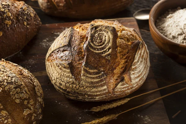 Pan de trigo integral recién horneado — Foto de Stock