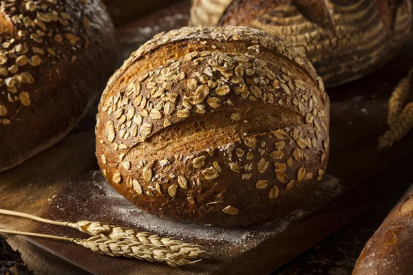 Pan de trigo integral recién horneado — Foto de Stock