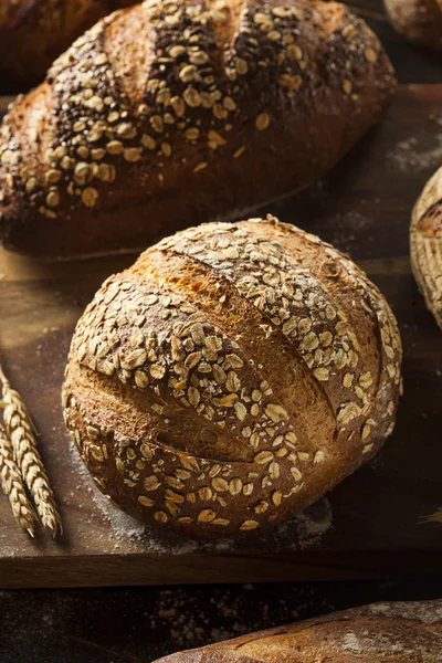 Pan de trigo integral recién horneado — Foto de Stock