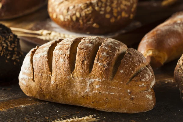 Pan de centeno recién horneado — Foto de Stock