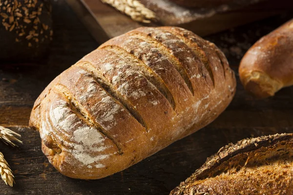 Taze pişmiş çavdar ekmeği — Stok fotoğraf