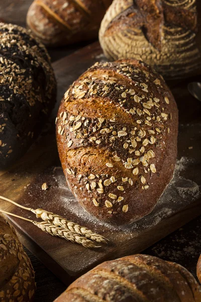 Pan de trigo integral recién horneado — Foto de Stock