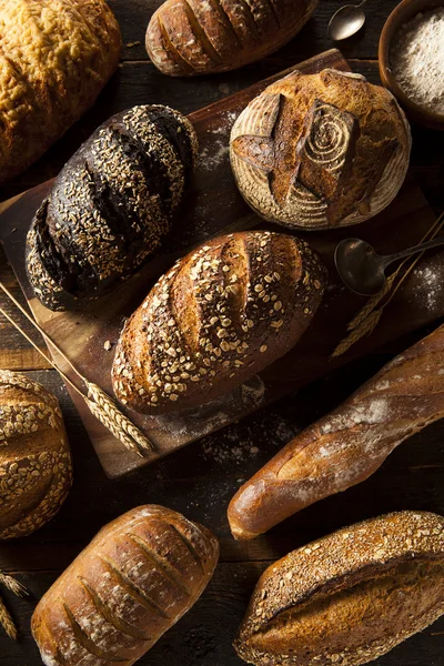 Pan de trigo integral recién horneado — Foto de Stock