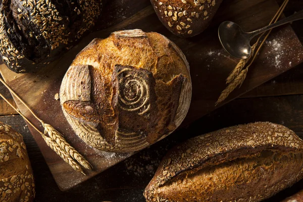 Pan de trigo integral recién horneado — Foto de Stock