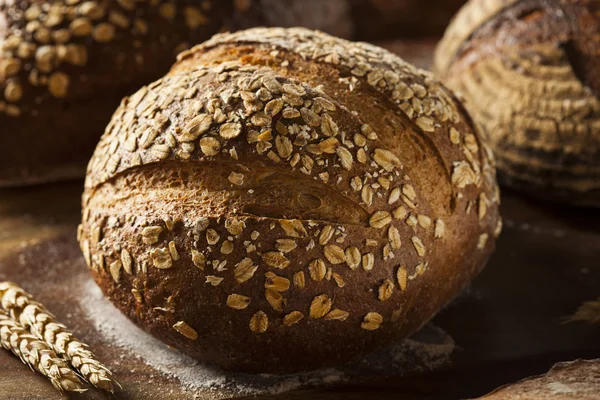 Pan de trigo integral recién horneado — Foto de Stock