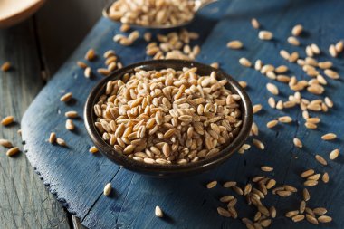 Organik çiğ Farro tahıl