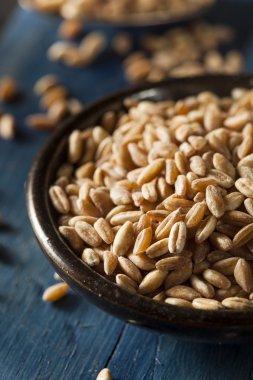 Organik çiğ Farro tahıl