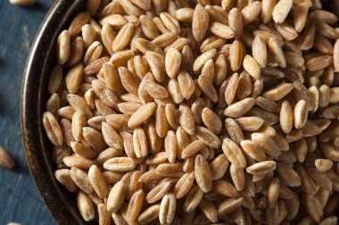 Organik çiğ Farro tahıl