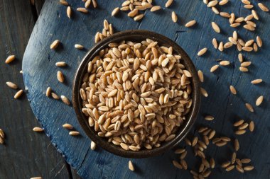 Organik çiğ Farro tahıl