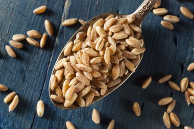 Organik çiğ Farro tahıl