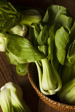 Ham organik bebek Bok Choy