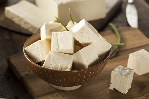 Tofu de soja cru biologique — Photo