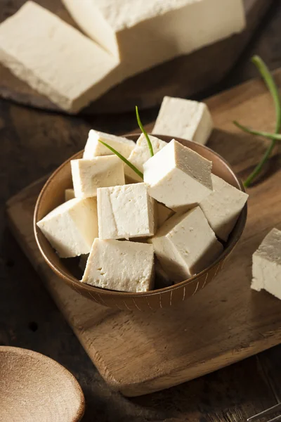 Tofu de soja cru orgânico — Fotografia de Stock