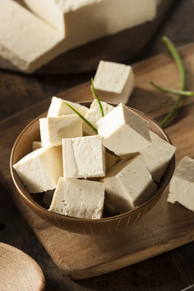 Tofu de soja cru biologique — Photo