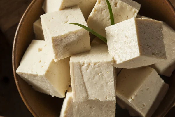 Tofu de soja cru orgânico — Fotografia de Stock