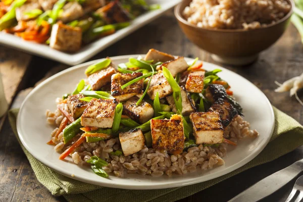 Tofu hecho en casa Remover Freír — Foto de Stock