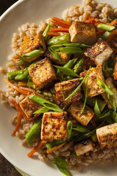 Tofu hecho en casa Remover Freír —  Fotos de Stock