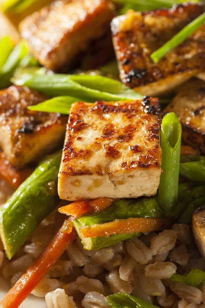 Zelfgemaakte Tofu roerbak — Stockfoto