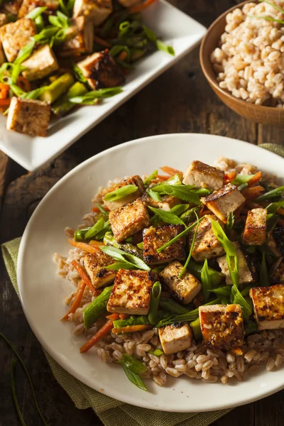 Tofu caseiro Stir Fry — Fotografia de Stock