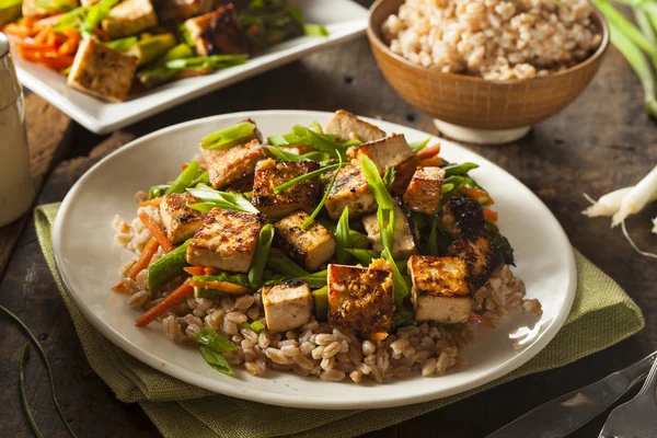 Tofu hecho en casa Remover Freír — Foto de Stock